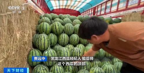 今日吃瓜价格最新行情,新鲜吃瓜价格一览